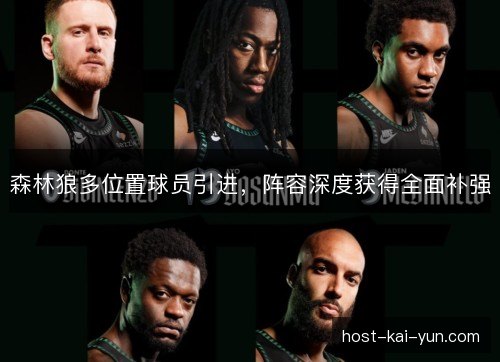 森林狼多位置球员引进,阵容深度获得全面补强 森林狼多位置球员引进,阵容深度获得全面补强