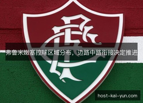 弗鲁米嫩塞控球区域分布,边路中路衔接决定推进 弗鲁米嫩塞控球区域分布,边路中路衔接决定推进